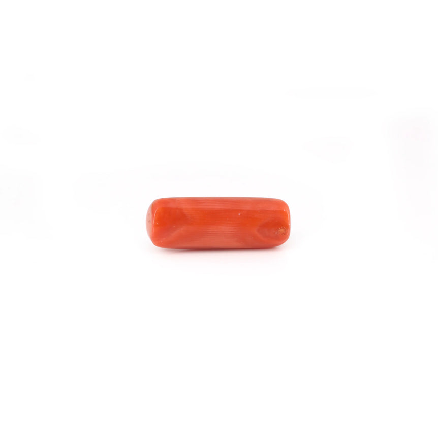 Red Coral - 7.7 Carat - Pramogh