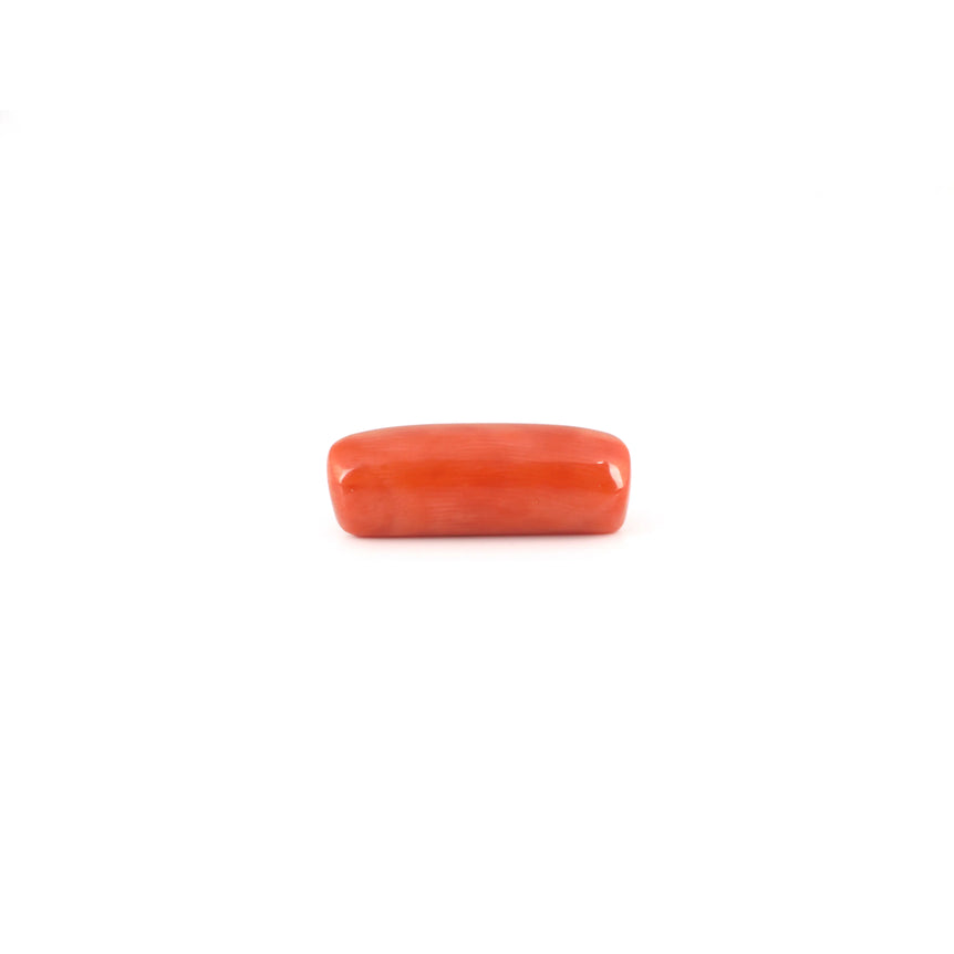 Red Coral - 7.7 Carat - Pramogh