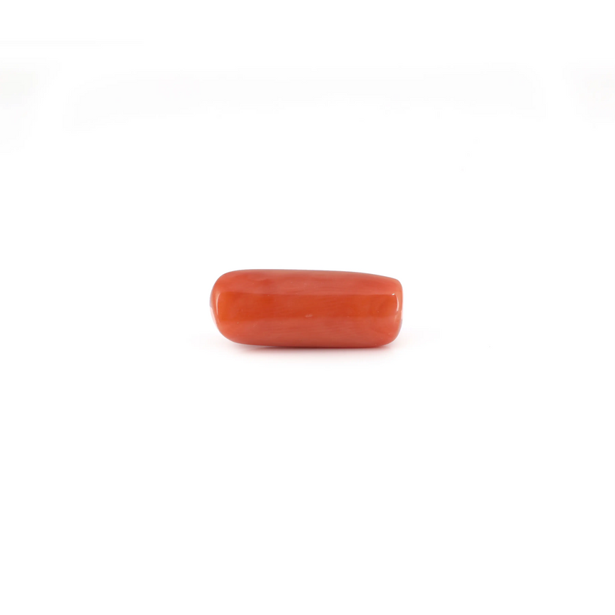Red Coral - 6.3 Carat - Pramogh