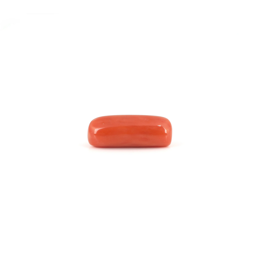 Red Coral - 6.3 Carat - Pramogh