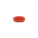 Red Coral - 6.7 Carat - Pramogh