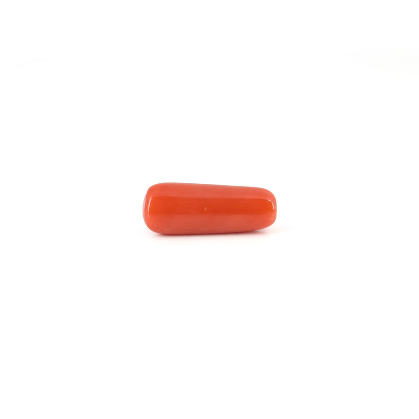 Red Coral - 6.4 Carat - Pramogh