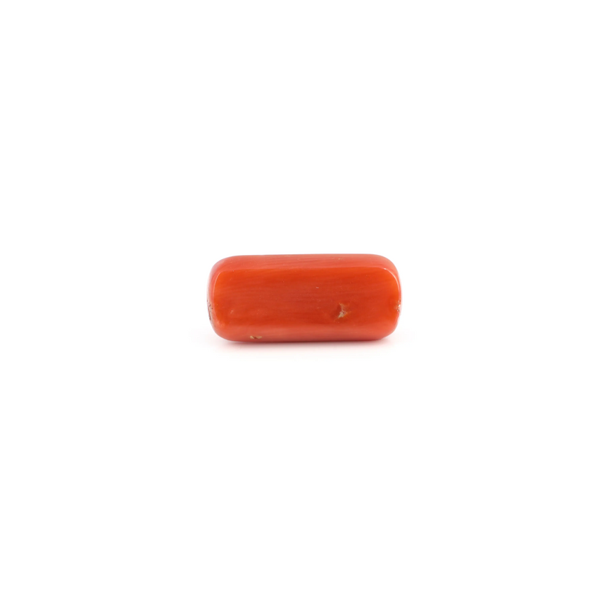 Red Coral - 6.9 Carat - Pramogh