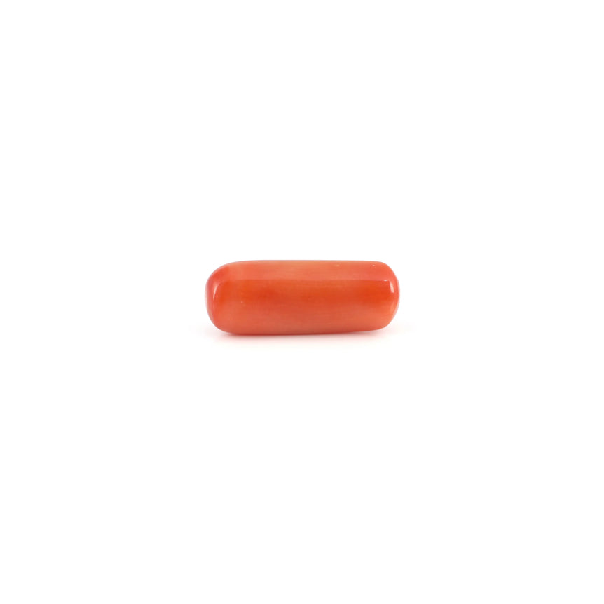 Red Coral - 6.3 Carat - Pramogh