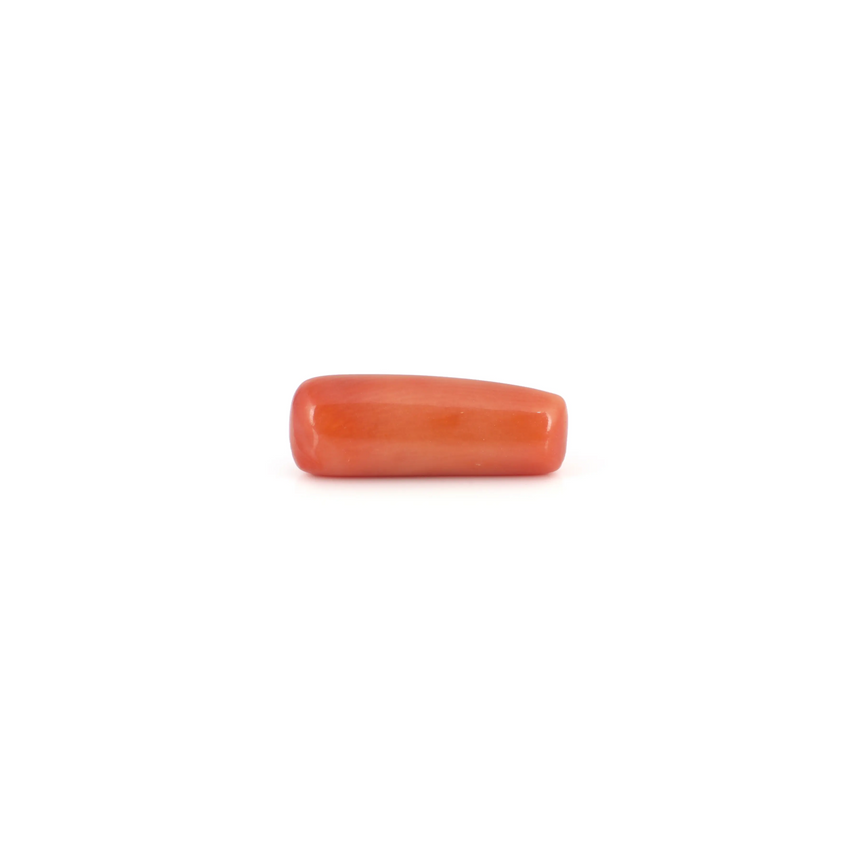 Red Coral - 6.3 Carat - Pramogh