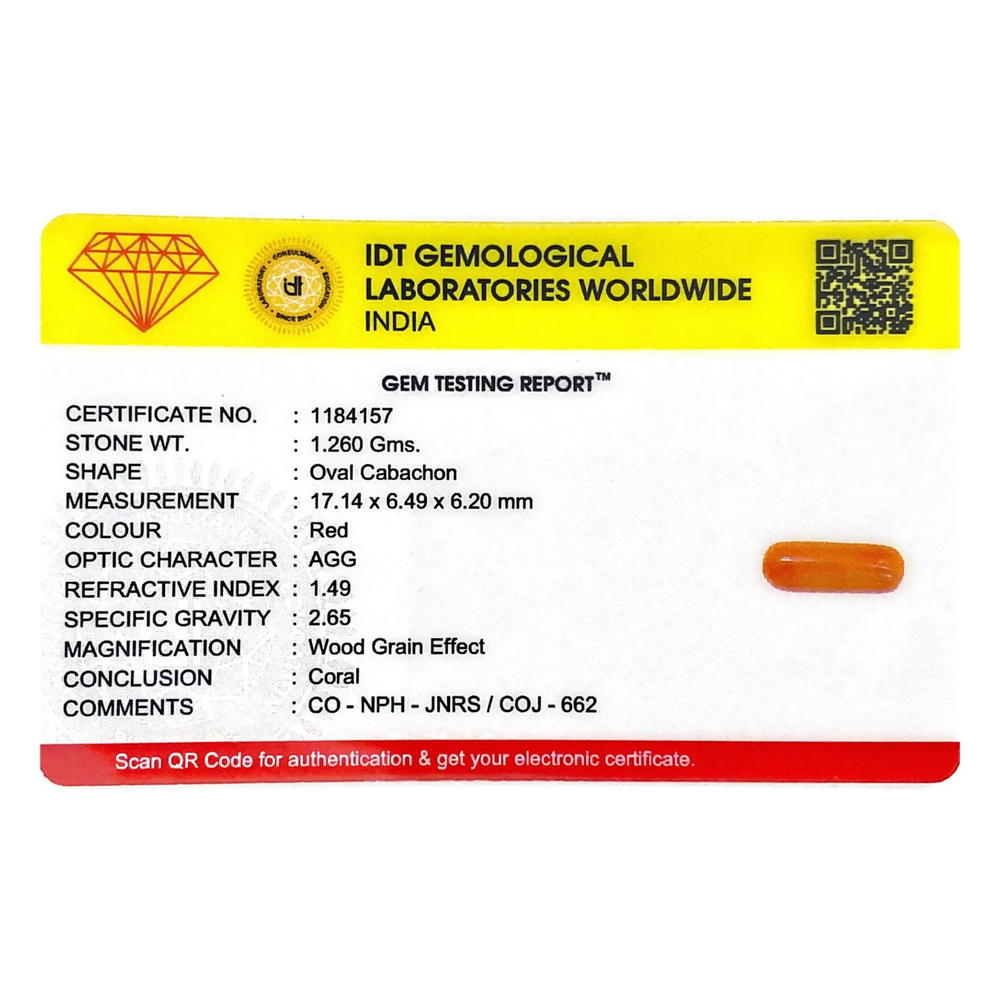 Red Coral - 6.3 Carat - Pramogh