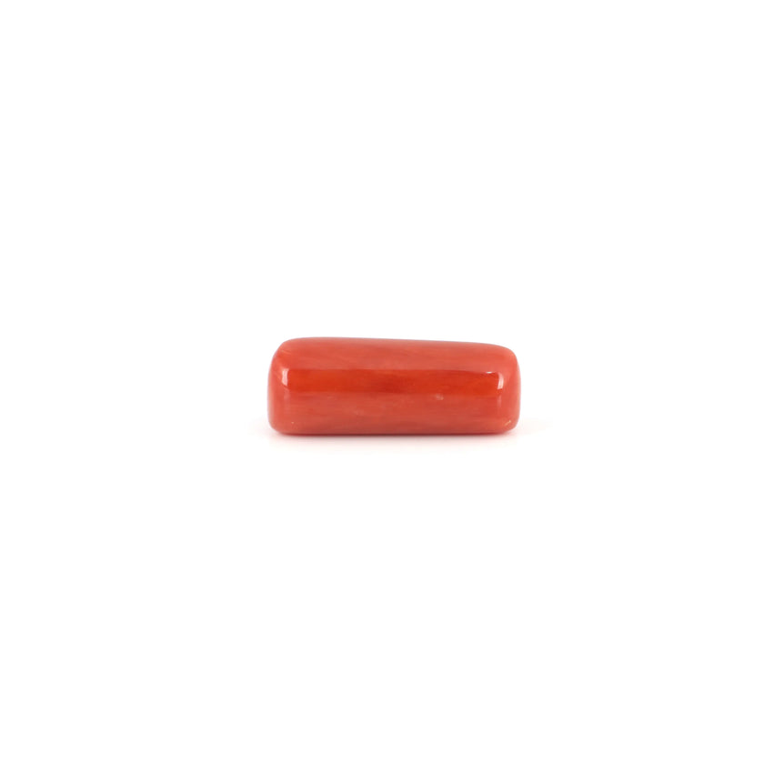Red Coral - 6.65 Carat - Pramogh