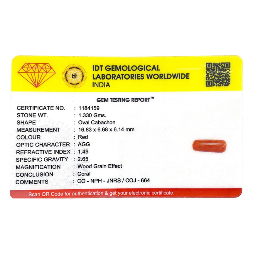 Red Coral - 6.65 Carat - Pramogh