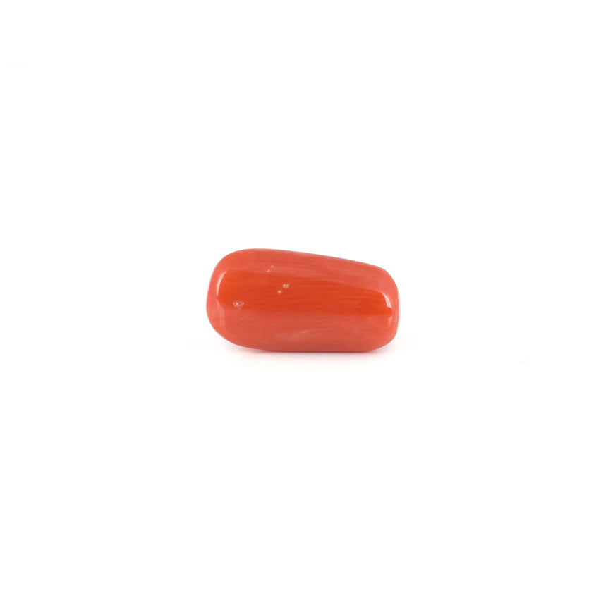 Red Coral - 6.85 Carat - Pramogh