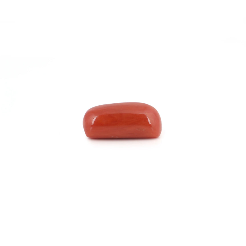 Red Coral - 6.55 Carat - Pramogh