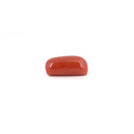Red Coral - 6.55 Carat - Pramogh