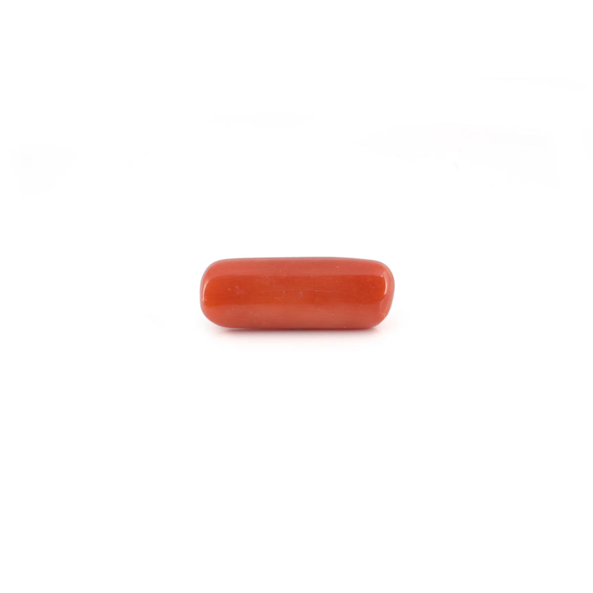 Red Coral - 6.4 Carat - Pramogh