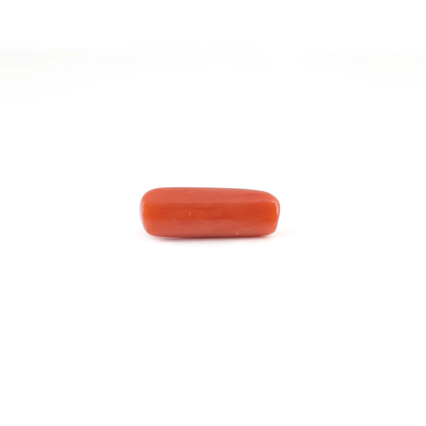 Red Coral - 6.6 Carat - Pramogh