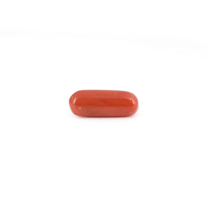 Red Coral - 6.55 Carat - Pramogh