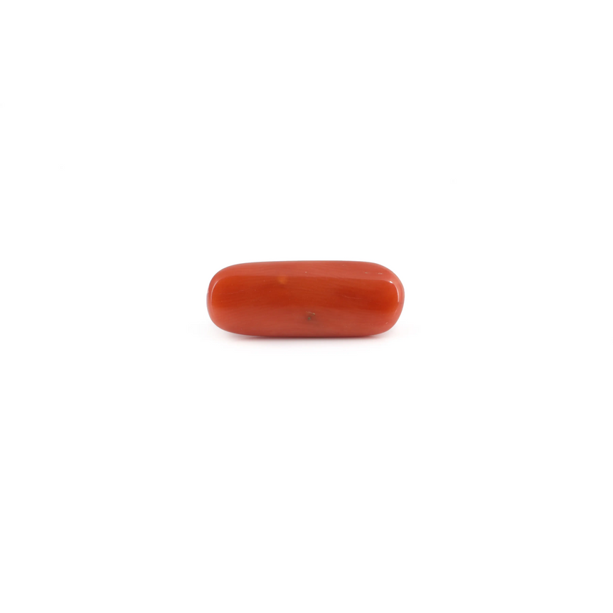 Red Coral - 6.55 Carat - Pramogh