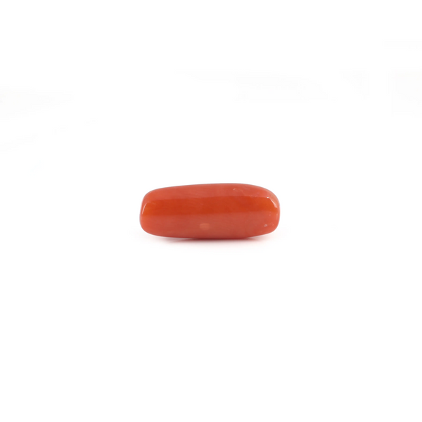 Red Coral - 6.5 Carat - Pramogh
