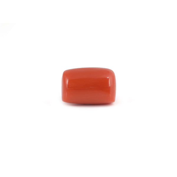 Red Coral - 14.35 Carat - Pramogh