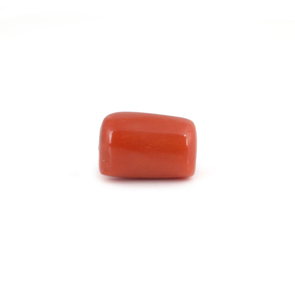 Red Coral - 14.35 Carat