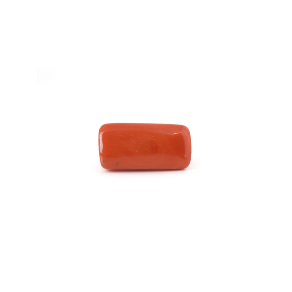 Red Coral - 15.3 Carat - Pramogh