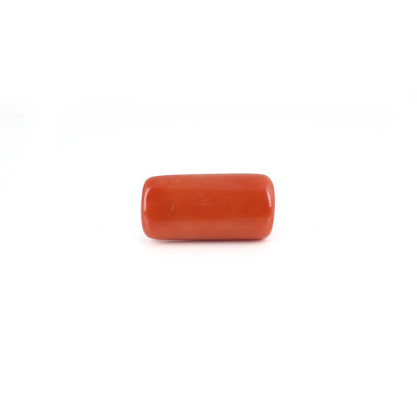 Red Coral - 15.3 Carat