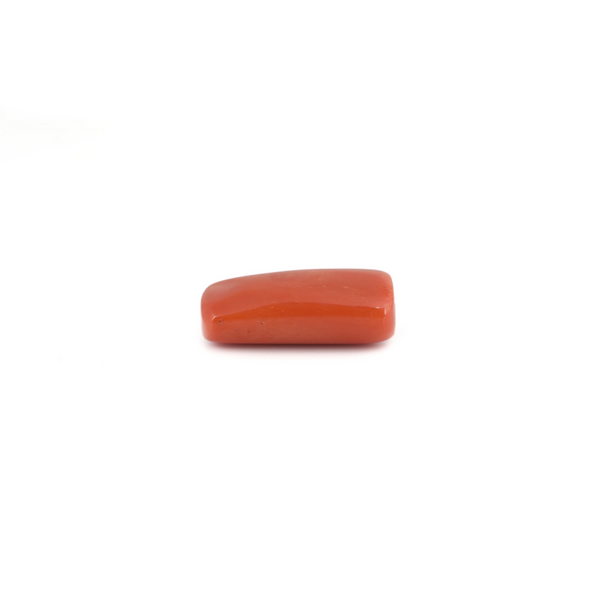 Red Coral - 15.3 Carat