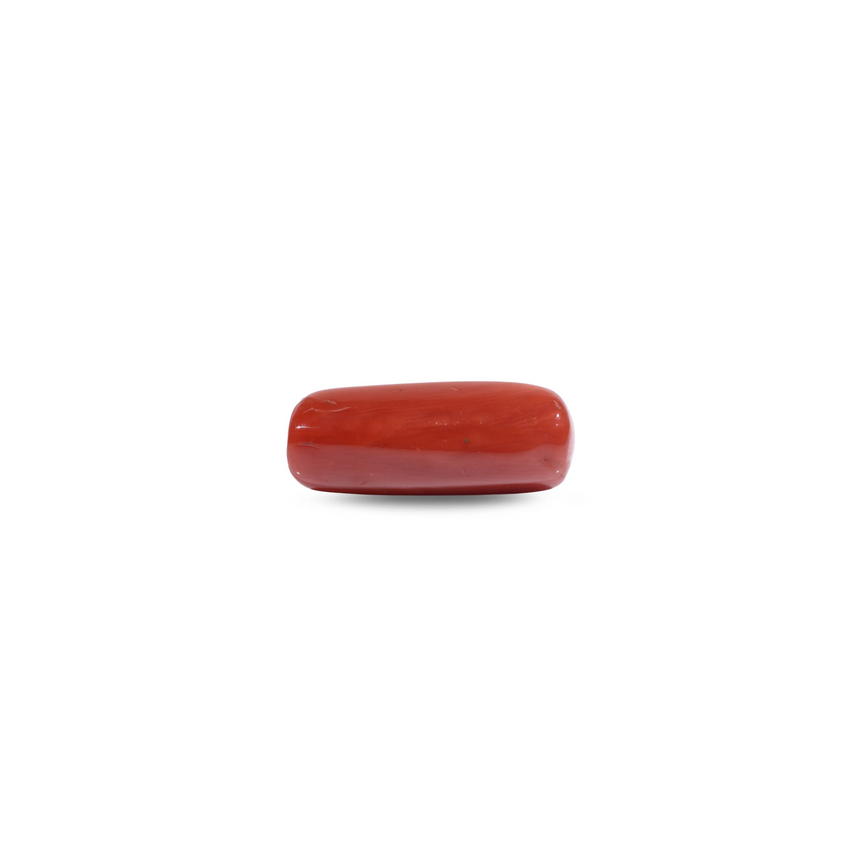 Red Coral - 7.3 Carat