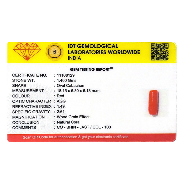 Red Coral - 7.3 Carat