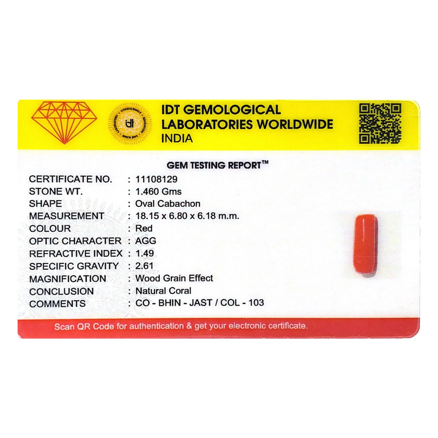 Red Coral - 7.3 Carat