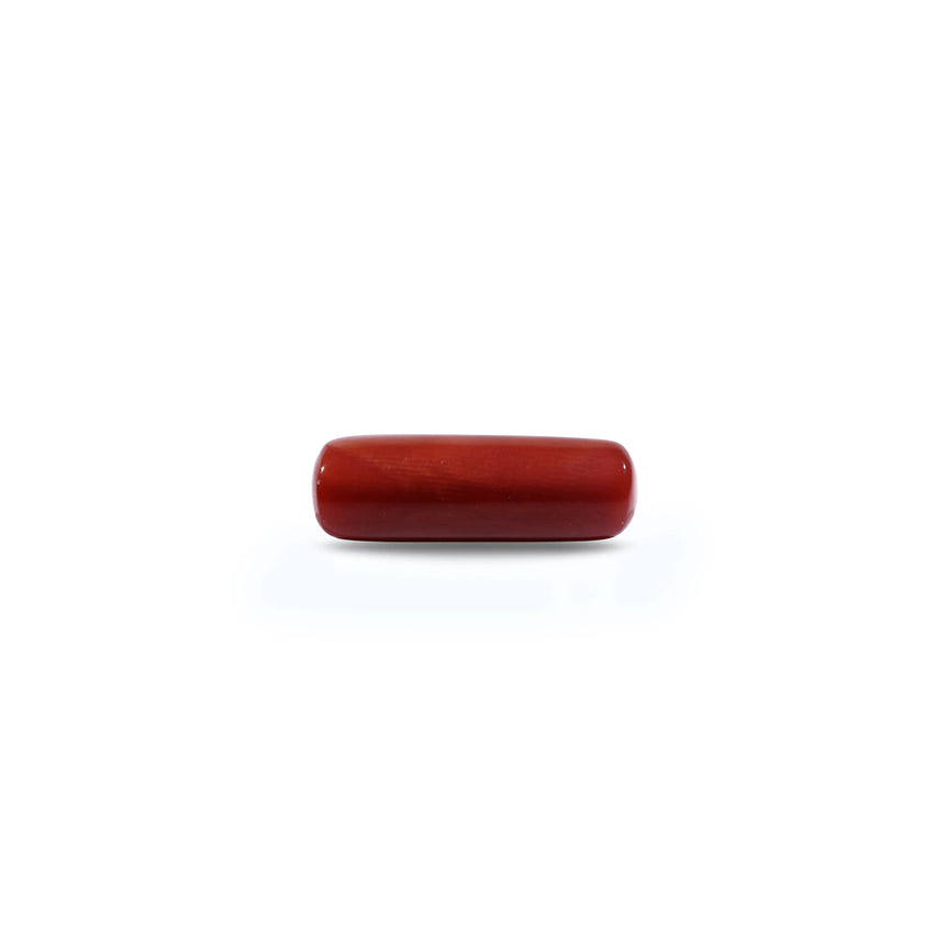 Red Coral - 7.2 Carat