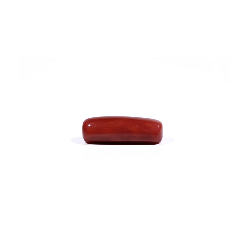 Red Coral - 7.2 Carat