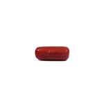 Red Coral - 7.2 Carat - Pramogh