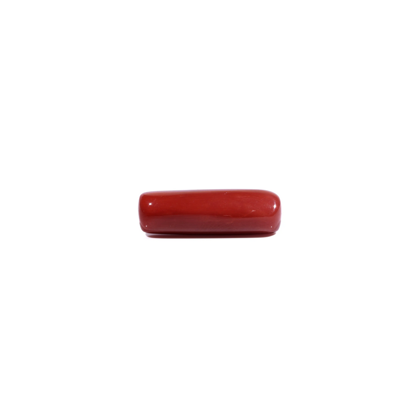Red Coral - 7.9 Carat