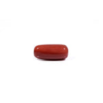 Red Coral - 7.95 Carat - Pramogh