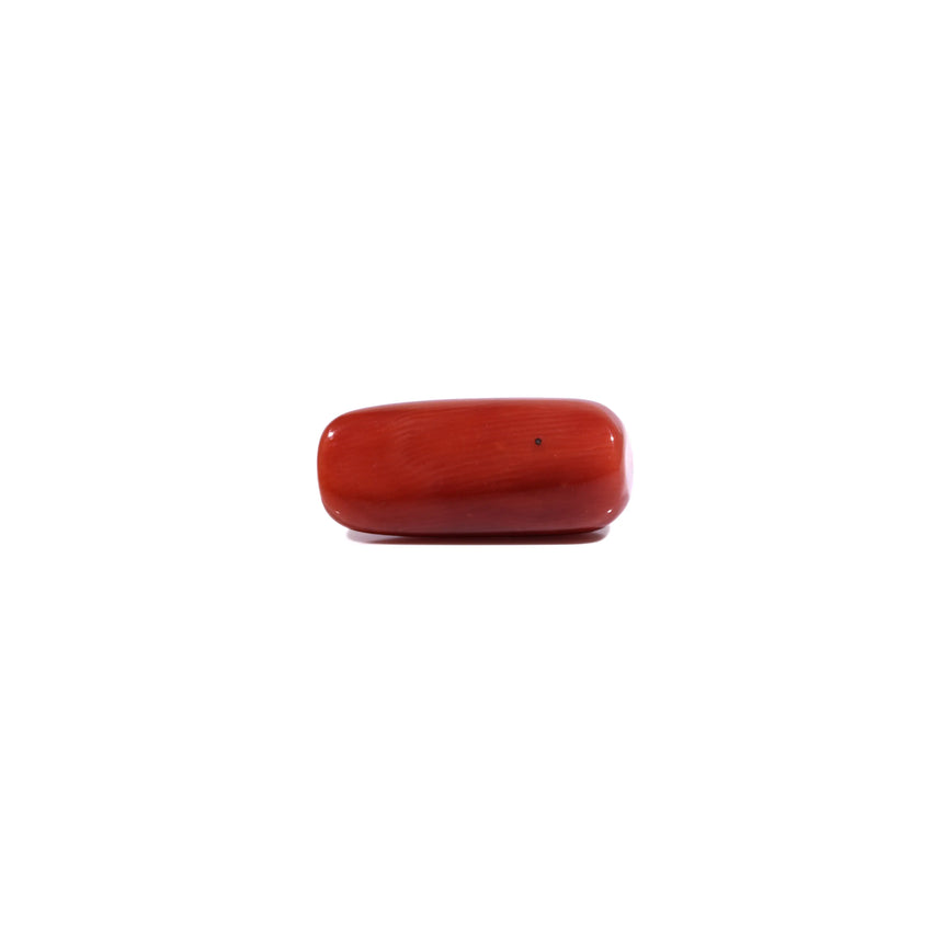 Red Coral - 7.95 Carat