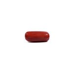 Red Coral - 7.65 Carat - Pramogh