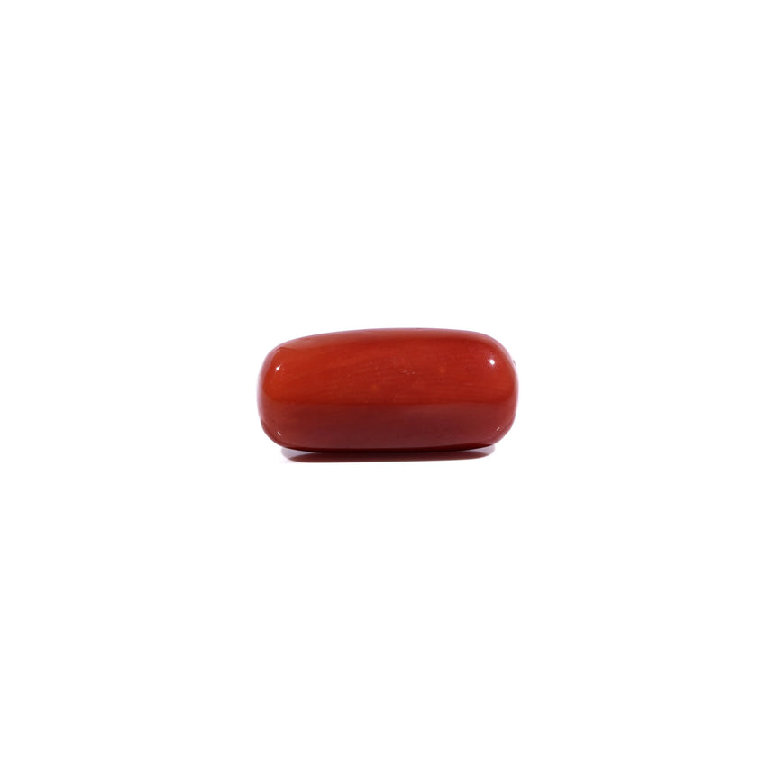 Red Coral - 8.1 Carat