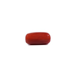 Red Coral - 8.1 Carat