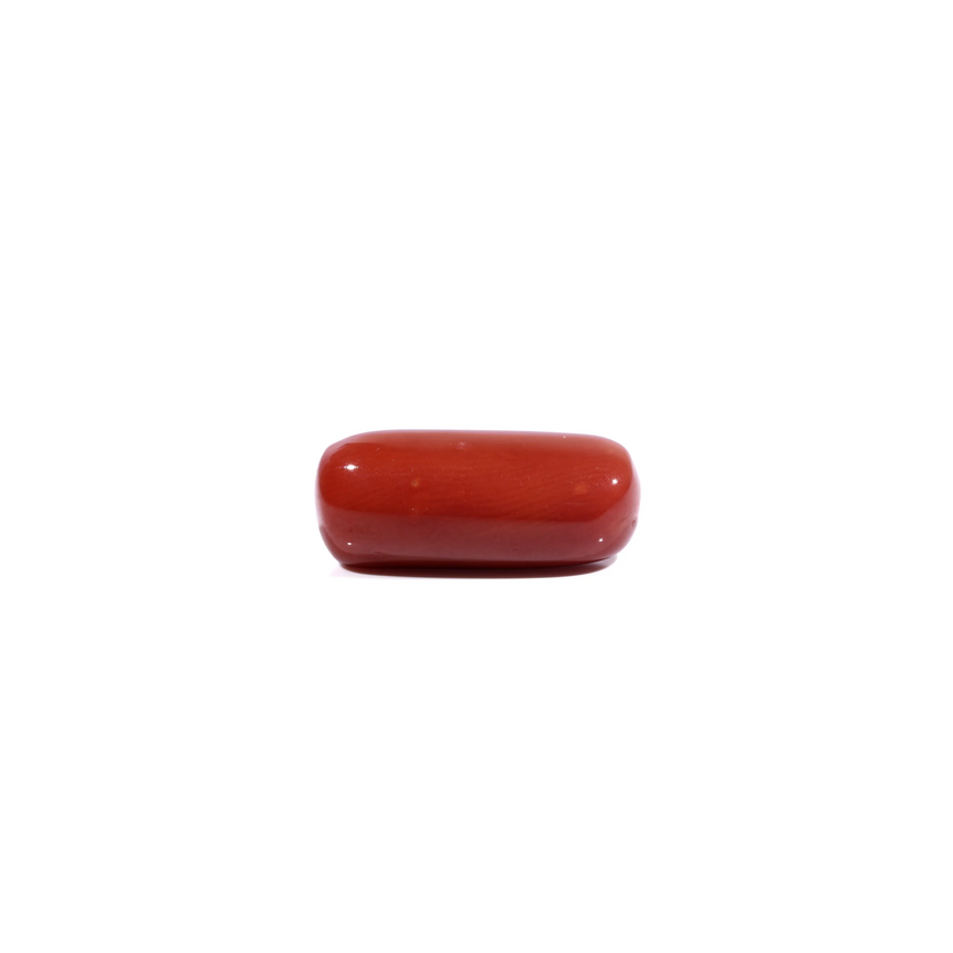 Red Coral - 8.1 Carat