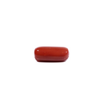 Red Coral - 8.1 Carat