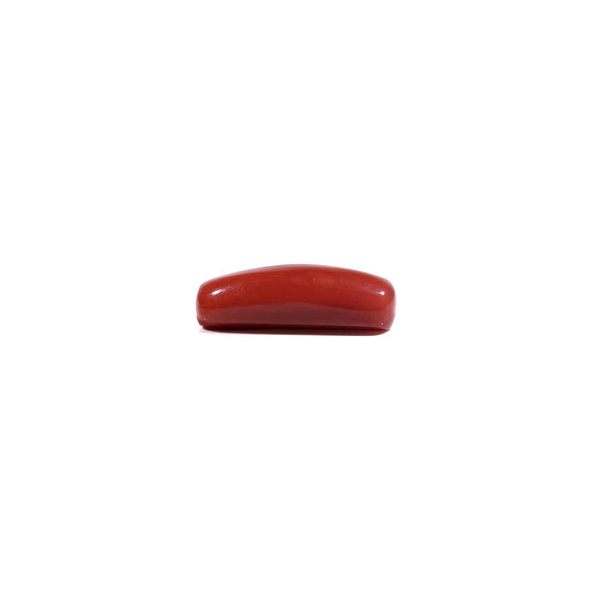 Red Coral - 7.95 Carat