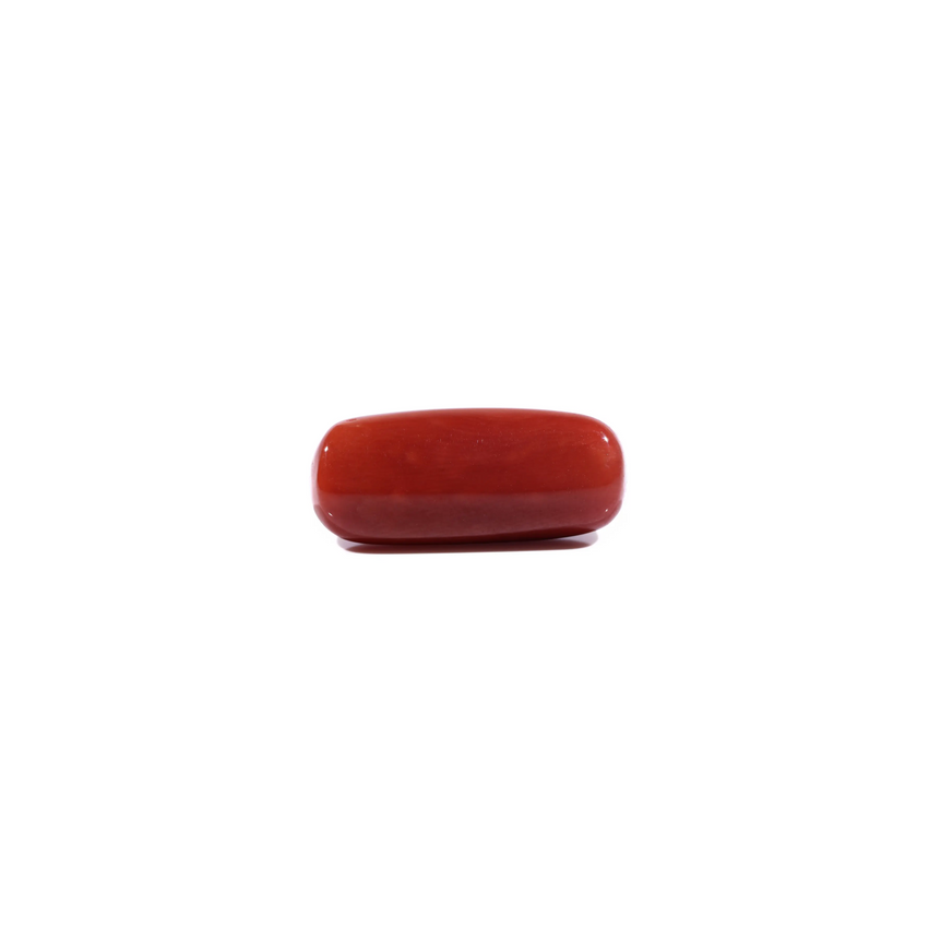 Red Coral - 7 Carat