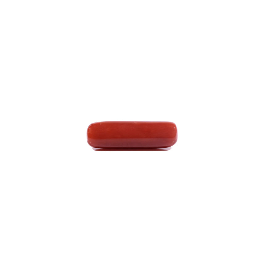 Red Coral - 7.2 Carat