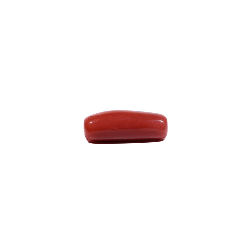 Red Coral - 7.75 Carat