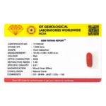 Red Coral - 7.75 Carat