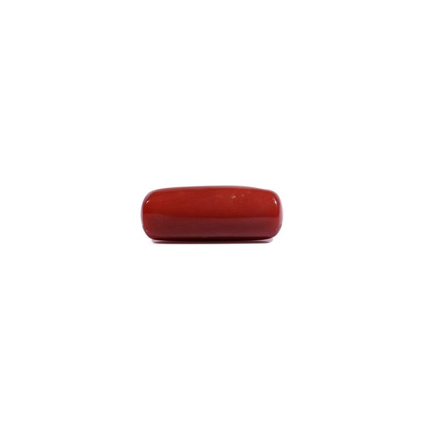 Red Coral - 8.45 Carat