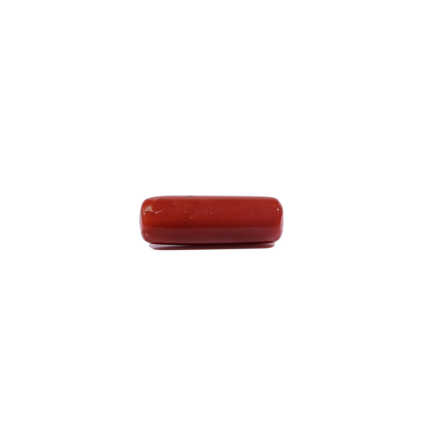 Red Coral - 9.5 Carat