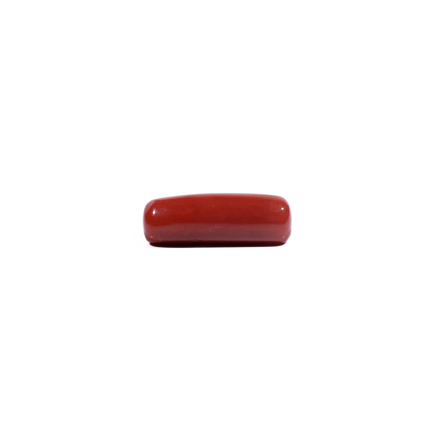 Red Coral - 9.5 Carat