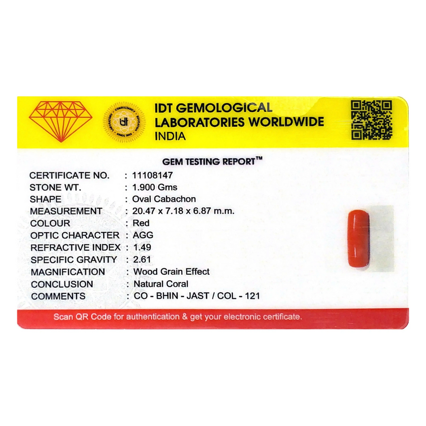 Red Coral - 9.5 Carat