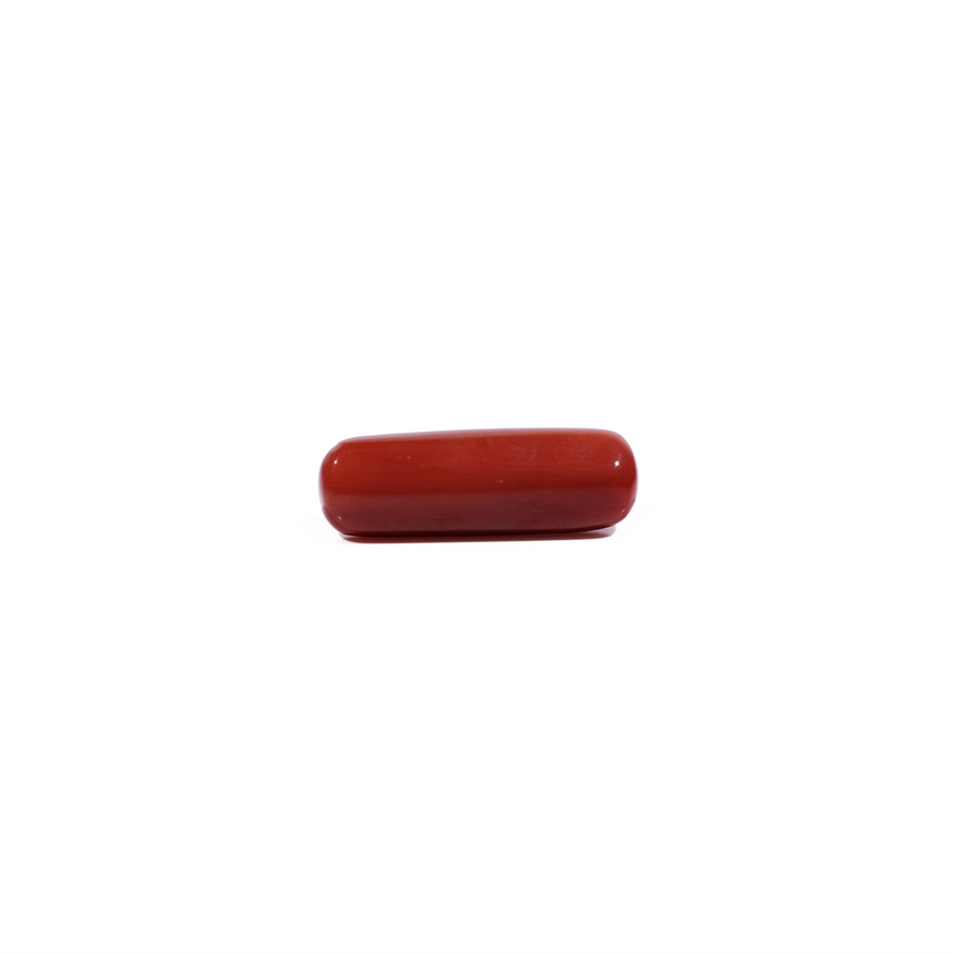 Red Coral - 7.4 Carat