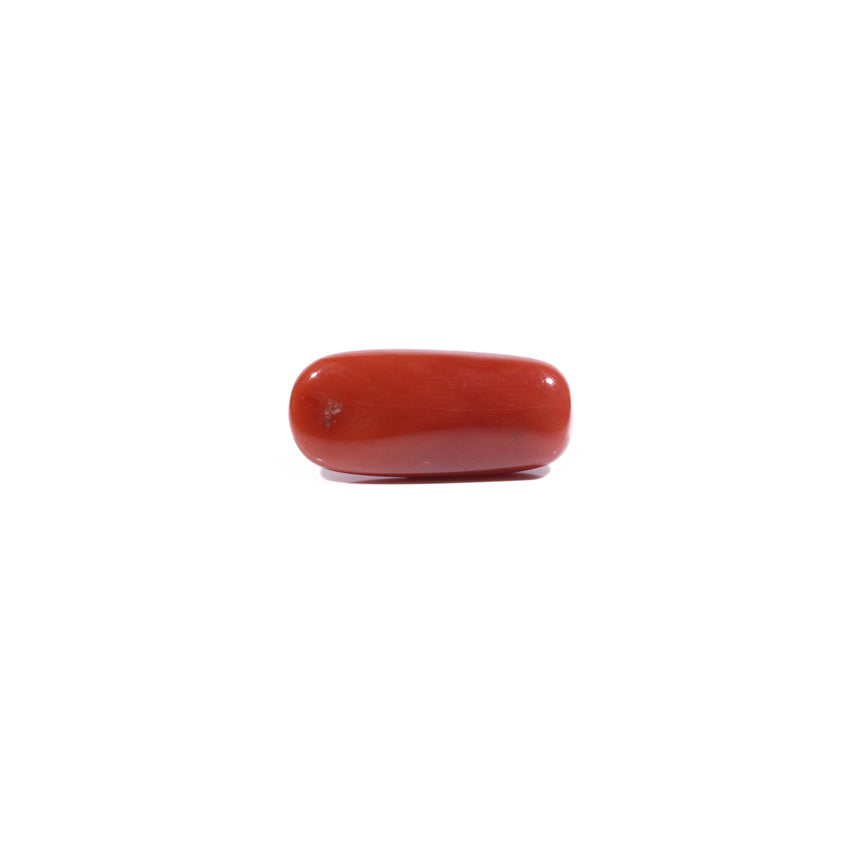 Red Coral - 7.1 Carat